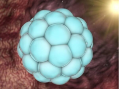 低血值怎么办？如何提高试管囊胚移植成功率？