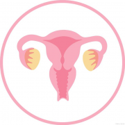 双角子宫也能做试管？必备条件全解析，还有助孕成功率提升小秘诀！