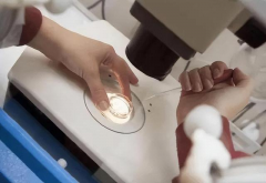 2024年台湾试管费用全攻略，行前必备清单大公开！