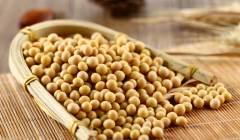 胚胎移植后，吃黄豆好处多！适量来点，助力宝宝稳稳着床哦！