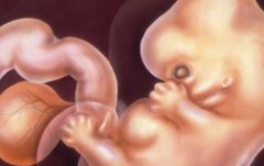 ‌哈尔滨试管医院大揭秘：除哈医大外，这些医院也备受好评！