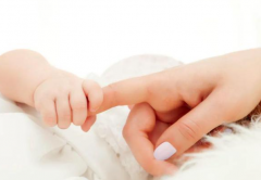 ‌为什么卵泡监测是试管成功的秘密武器？