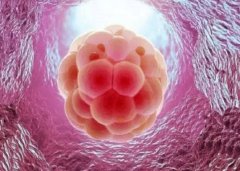 试管4AB囊胚移植攻略：如何提高成功率？