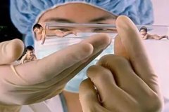 ‌泰国BNH医院试管：成功率究竟如何？专家深度剖析