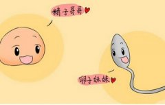 圆梦生育路，试管技术助力畸形精子症患者‌