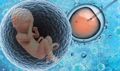 试管VIP服务，山大生殖医院助您安心迎好孕‌
