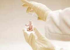 温州公立医院三代试管：如何选性别，费用多少？‌