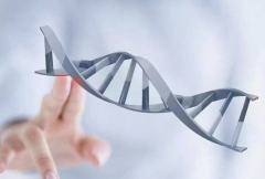 三代试管包生'男'孩技巧，想成功有诀窍！