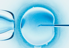 南通哪些医院试管能包成功？可以用以下方法来评估
