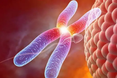 珠海试管选性别现状，看完心里有底