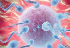 冻胚移植后为何白带减少？关键因素一网打尽