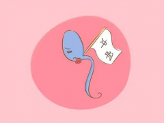 男方弱精少精症，做试管花费明细分享