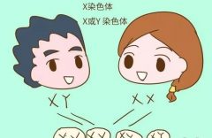 惠州三代试管能不能选性别？特定情况可选