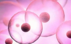 试管人工周期解冻移植，可能出现的4种并发症你都了解吗？