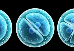 试管移植后12周停药该怎么做？建议做好护理工作