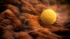 做好这六件事，试管胚胎移植成功一大半！