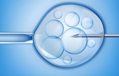 泉州三代试管医院排名最好哪家强？2024年费用及成功率对比！