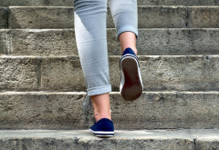 爬楼梯会导致试管胚胎掉落？不要听信这种谣言