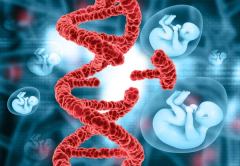 济南助孕新指南：包生'男'孩试管医院成功率全面比拼！