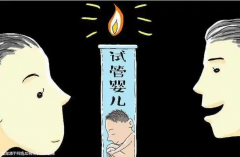 马来西亚试管攻略：选对专科医院，成功率飙升！