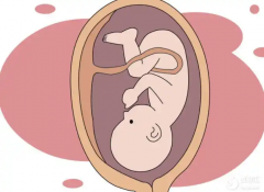 32岁宝妈揭秘！试管成功之路，一步步带你走对方向！