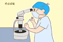 试管冻胚着床的信号大盘点！出现这些迹象，怀孕就在不远处啦！