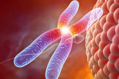 连云港试管选性别多少钱？医院允许选性别吗？