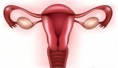 宫腔粘连成试管拦路虎？这些原因你必须了解‌