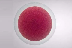 四个措施能提高卵子质量，试管卵子质量差的建议看完！