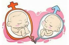 试管双胎易早产？掌握这些预防技巧和监控要点！