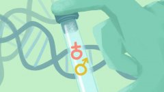 宁波试管选性别贵吗？费用与成功率一文读懂！