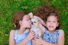 预算无忧！2024试管双胞胎费用全面剖析，精打细算助好孕！