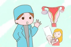 囊胚移植，选鲜胚还是冻胚？一分钟带你了解它们的不同！
