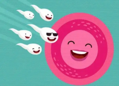 莆田哪家医院做试管棒？听听姐妹们的经验分享吧！