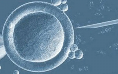 马来西亚试管生'男'孩费用较低，这些事情也需要注意