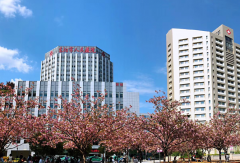 东阳市人民医院试管技术很成熟，费用和成功率分享在这里