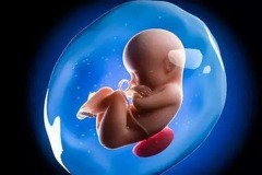 乌克兰三代试管详解，选性别需要这笔钱