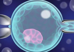 乐山三代试管能选性别吗？有没有风险存在？