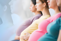 试管费用大揭秘：河北省二院详细清单公布