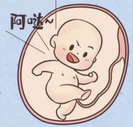 三代试管怎么挑性别？给你一份三代试管流程指南！