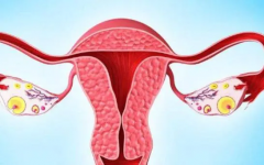 有关试管促排，这些问题一定要先搞清楚！