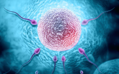 科普试管五种促排方案，手术前一定要比较清楚！