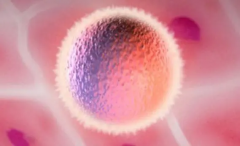 试管促排连续失败多次，不如直接做试管移植！