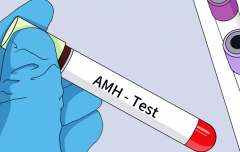 AMH0.23以下不要着急，做试管也可能成功！