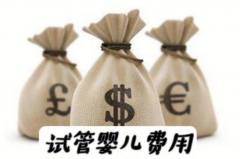 南京民营机构做试管的价格是多少？附民营机构费用分析和推荐！