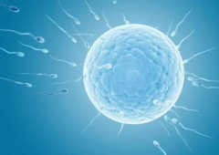 苏州三代试管想生'男'孩，需要注意这些事情！