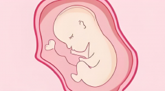 深圳三代试管一次成功价格多少？附三代试管包生'男'孩价格解析！