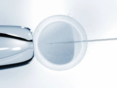 陕西试管费用大概要多少钱？附陕西试管医院价格表！