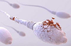 睾丸不能生精、精子活动力差，试管能帮助你生育！