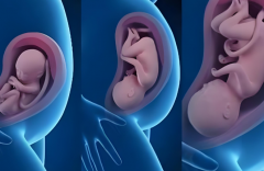 天津试管医院排行榜前十（天津试管成功率最高的医院）